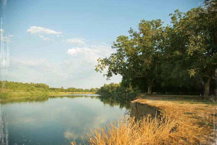 A sunny day along the Sacramento River, Glenn County, 1963