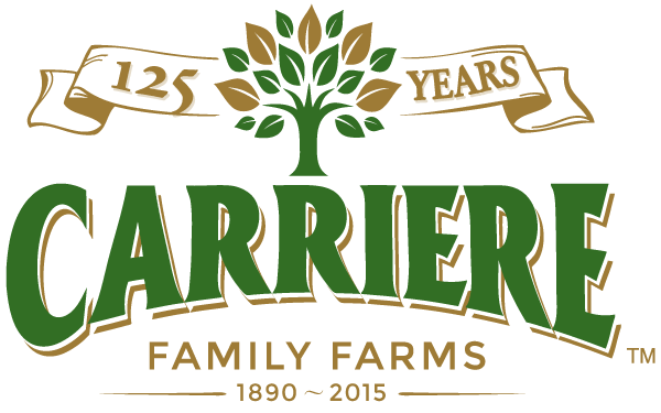 Carriere 125 Logo