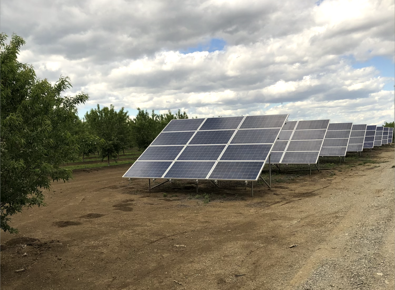 Sustainable Stewardship – California Walnuts and Walnut Processing