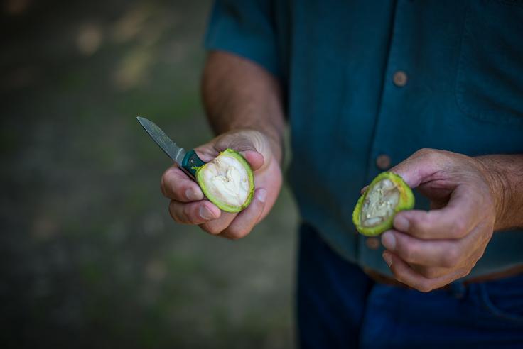 carriere_farms-00015